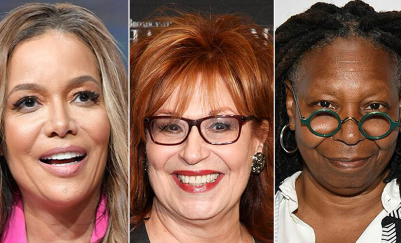 Liberal ‘View’ hosts rail against Texas abortion law: ‘It’s insane’