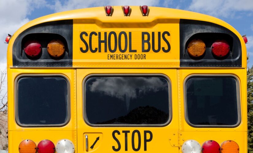 Washington school bus driver stabbed to death by suspect while elementary kids watched in horror: police