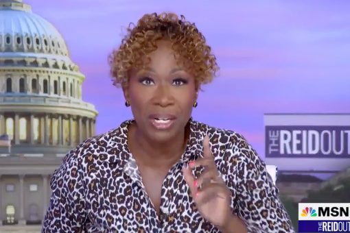 Joy Reid pushes Border Patrol whip narrative on MSNBC show
