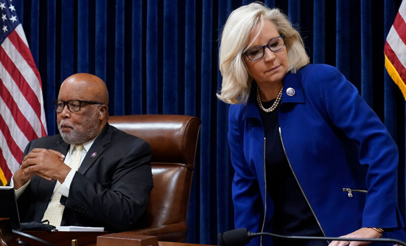 Liz Cheney chosen as Jan. 6 committee vice chair