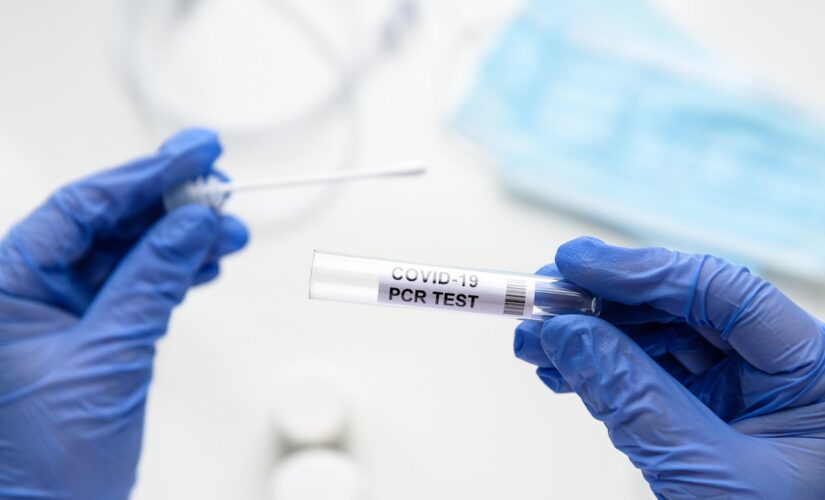 US logs over 240K weekly COVID-19 cases among kids, near-pandemic record
