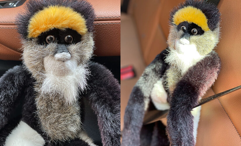 Toddler’s stuffed monkey left behind on 9/11 has family searching 20 years later