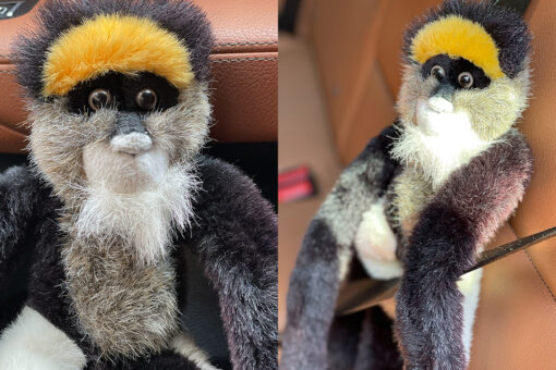 Toddler’s stuffed monkey left behind on 9/11 has family searching 20 years later