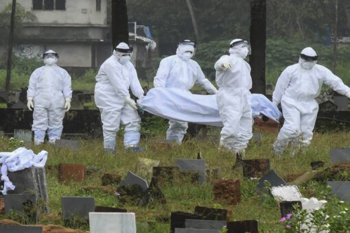 Deadly Nipah virus kills boy in India, prompts worries over outbreak