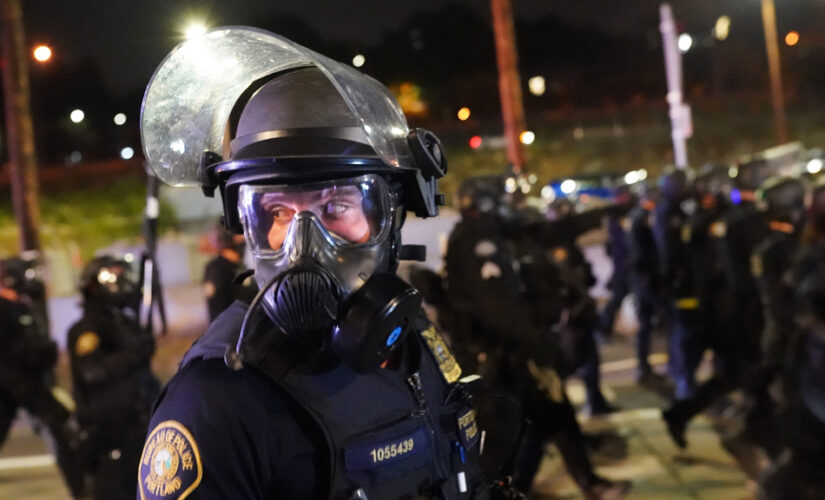 Portland City Council accepts report describing tear gas used by officers as ‘chemical weapons’