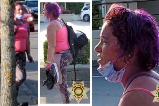 Seattle detectives hunt woman who tried to snatch 2-year-old boy from pregnant mother at park