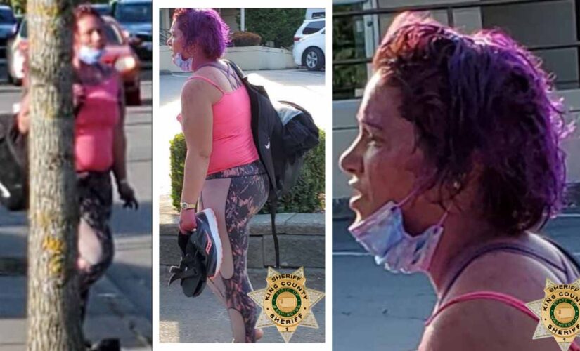 Seattle detectives hunt woman who tried to snatch 2-year-old boy from pregnant mother at park