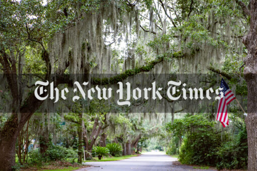 New York Times essay argues Southerners will ‘die unnecessary deaths’ because of Republican focus on ‘freedom’