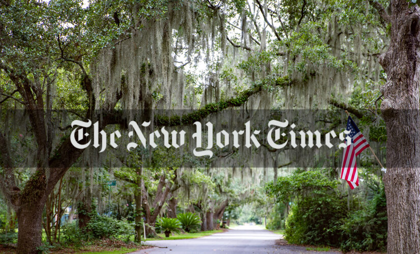 New York Times essay argues Southerners will ‘die unnecessary deaths’ because of Republican focus on ‘freedom’