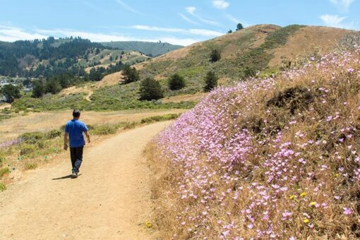 California hiker dies after falling 50 feet, witnesses say she tripped