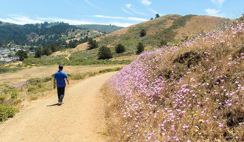 California hiker dies after falling 50 feet, witnesses say she tripped