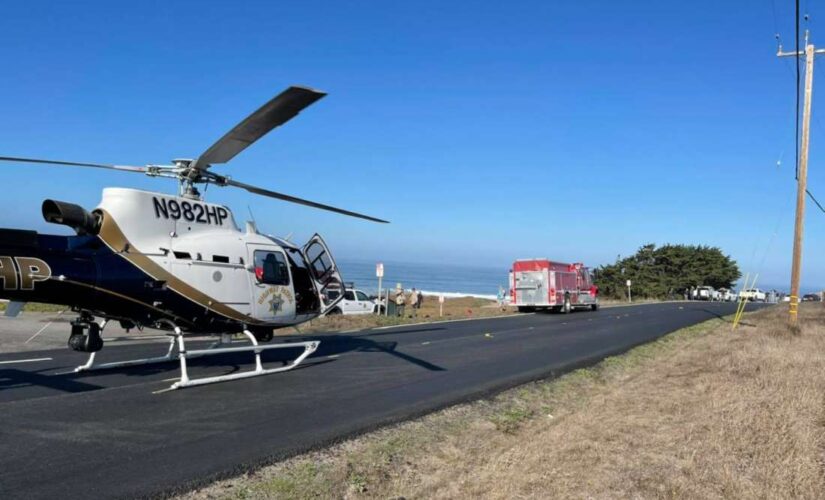 California surfer suffers ‘critical’ injuries in shark attack off coast: report