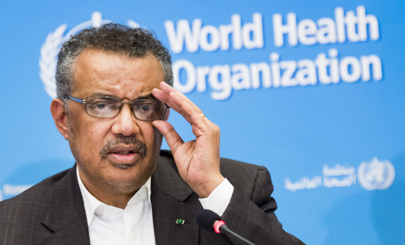 Controversial World Health Organization chief Tedros unopposed for second term