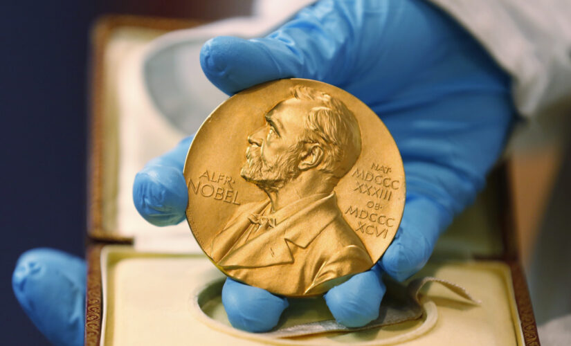 Nobel prize given to three US-based economists