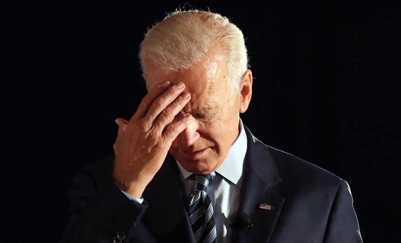 White House press corps member pleads for Biden to take more questions