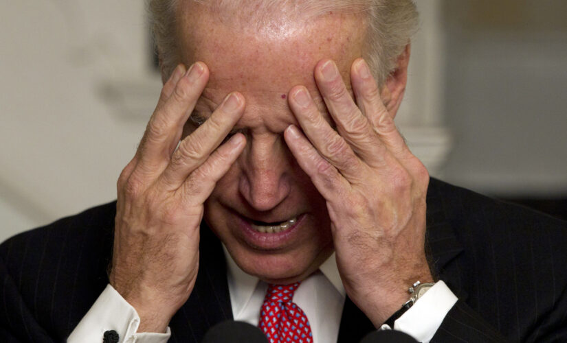 WaPo reporter deletes ‘grossly inappropriate’ tweet about Biden visit to cemetery where his family is buried