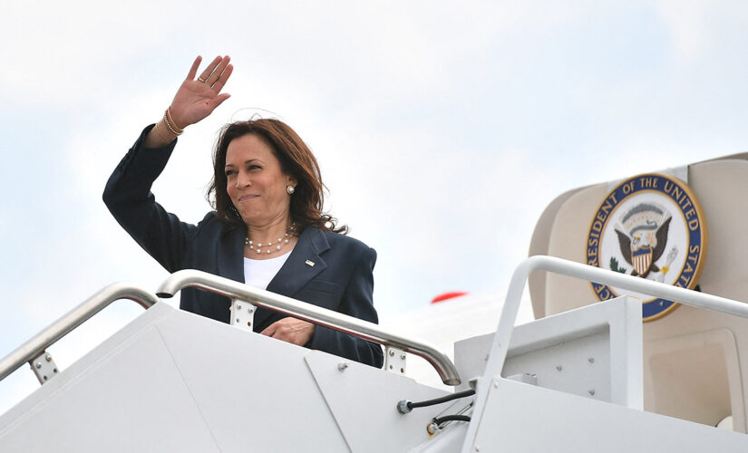 Kamala Harris pictured power walking in DC following secret California trip