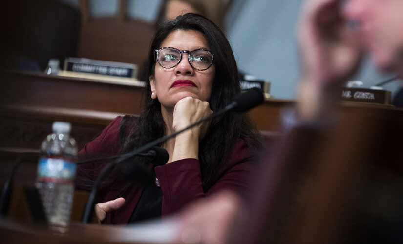 Rep. Tlaib praises group that calls to end US aid to Israel: ‘I get strength from all of you’