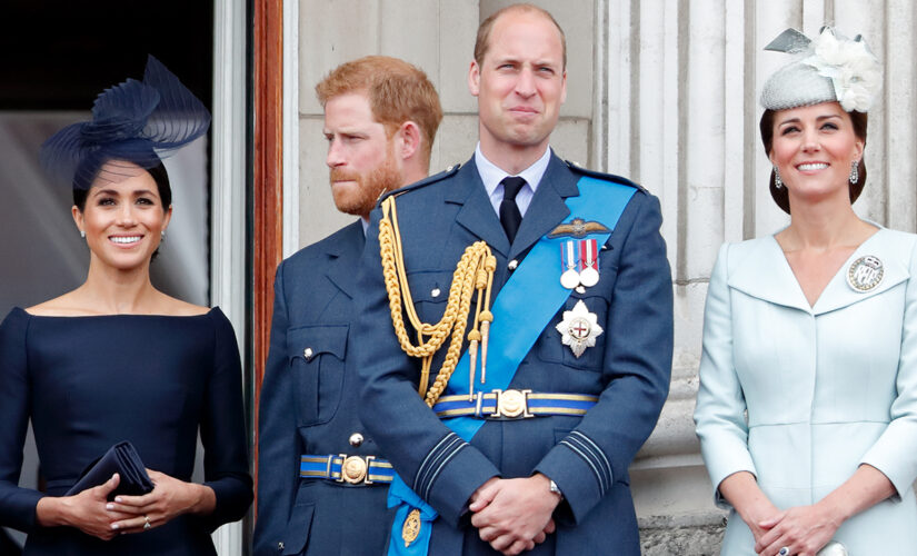 Prince William ‘obviously had an influence in’ Meghan Markle, Prince Harry’s royal exit, author claims