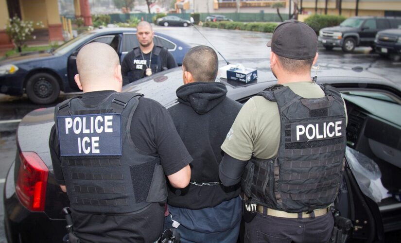 Biden admin’s ICE rules ‘affront to the rule of law’ as arrests drop, Oversight Republicans say