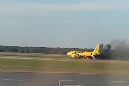 Spirit Airlines plane struck by bird during takeoff at New Jersey airport, sparking a fire