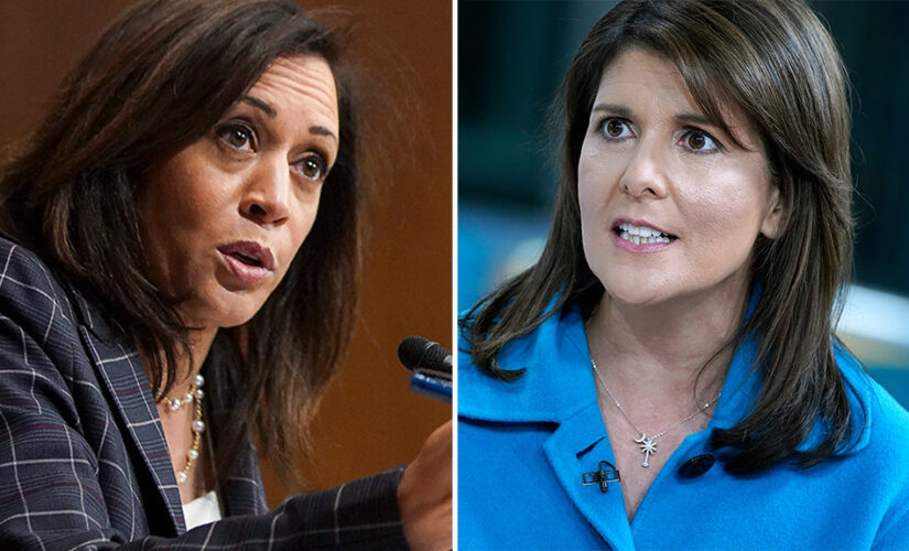 Nikki Haley slams VP Harris’ union push: ‘Nothing more than a power grab’