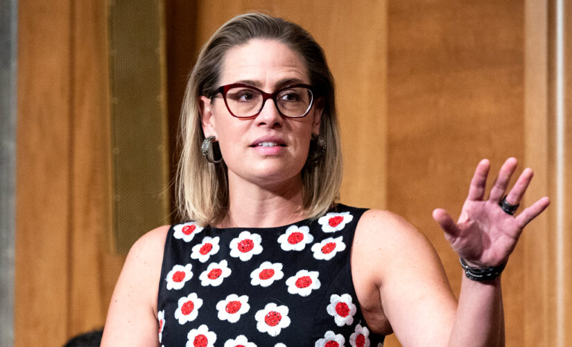 Sinema confronted by immigration activists in a bathroom