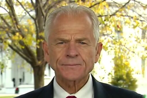 Peter Navarro calls Fauci ‘evil,’ says he twice urged Trump to fire him