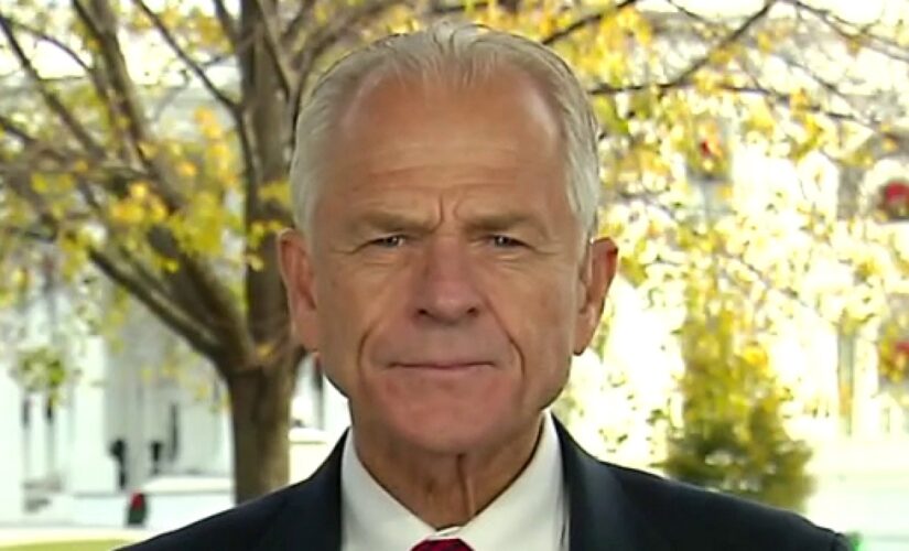 Peter Navarro calls Fauci ‘evil,’ says he twice urged Trump to fire him