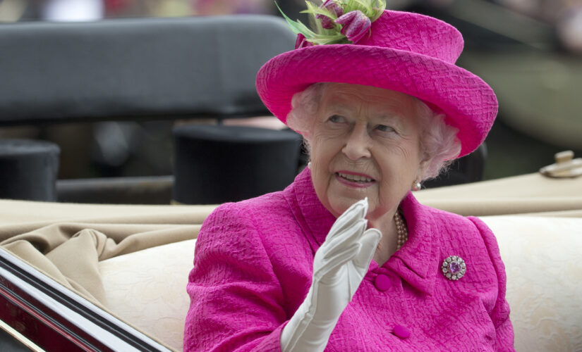 Queen Elizabeth, 95, spent night in hospital to be checked: Palace