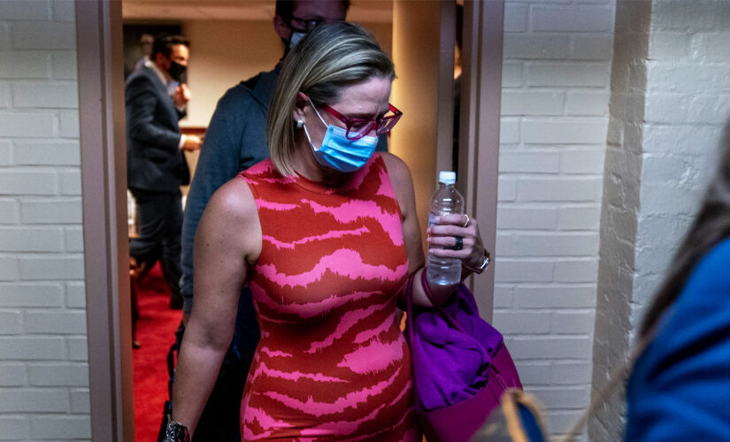 Sinema confronted in airport and plane about spending bill, Green New Deal, DACA