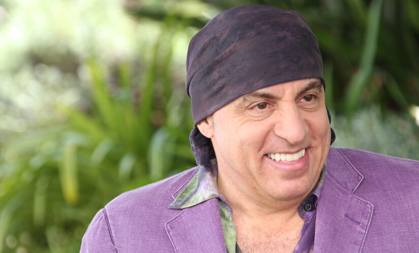 Steven Van Zandt on South African activism: ‘We did light that spark’