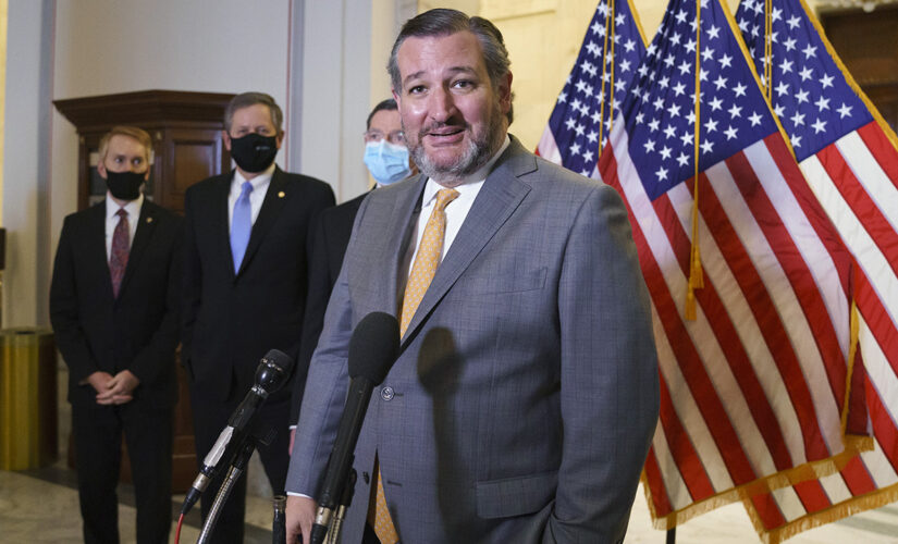 Cruz introduces bill to bring immigrant processing centers ‘where Democrat elites host their cocktail parties’