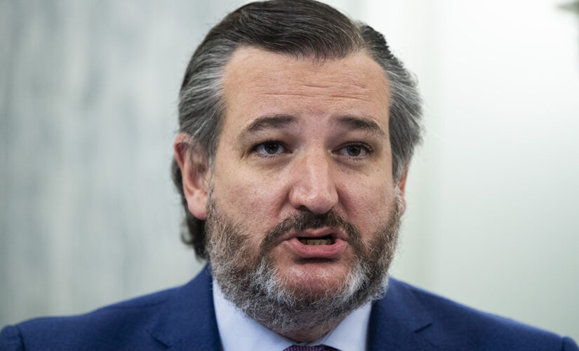 Cruz blasts Omar, Swalwell for accusing him of ‘defending Nazis’