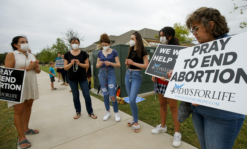 5th Circuit Court grants a stay, allows Texas abortion bill to go into effect