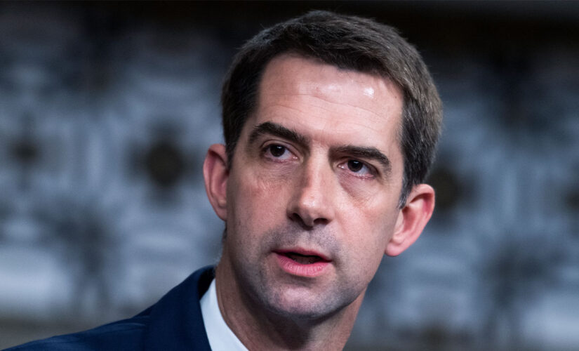 Cotton demands to know where Blinken was during Afghanistan planning meeting