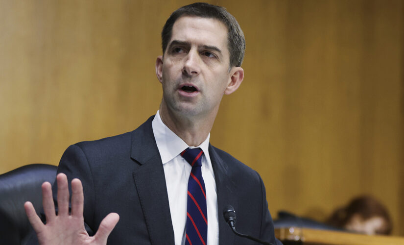 Tom Cotton to AG Garland: ‘Thank God you are not on the Supreme Court’