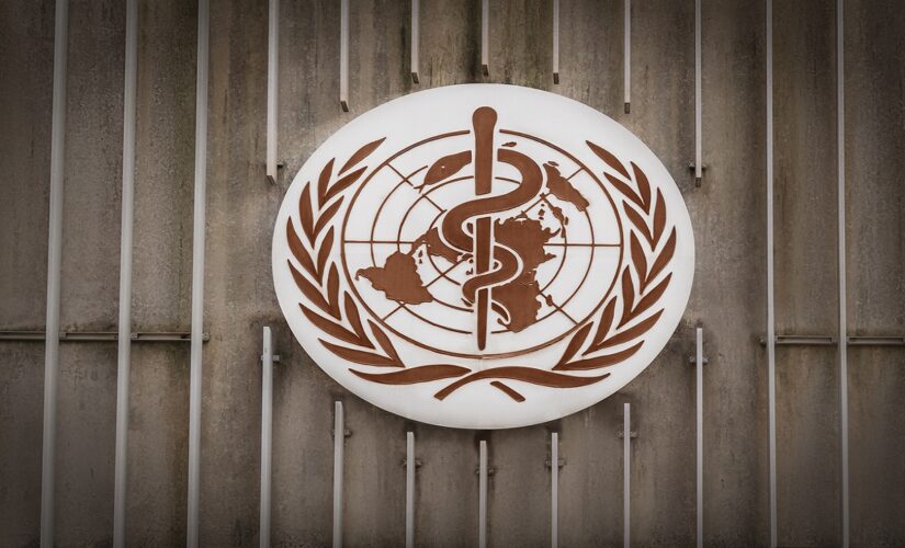 WHO announces committee to probe COVID-19 pandemic origins