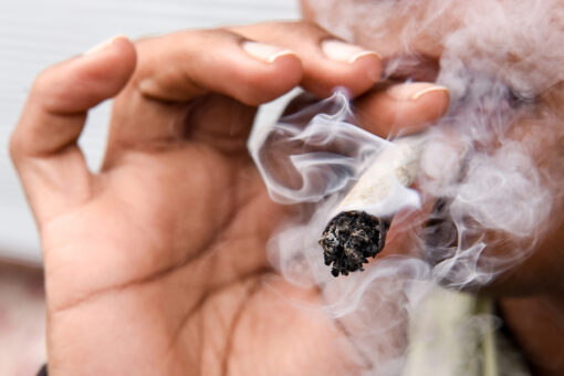 Smoking marijuana could lead to breakthrough COVID cases, study finds