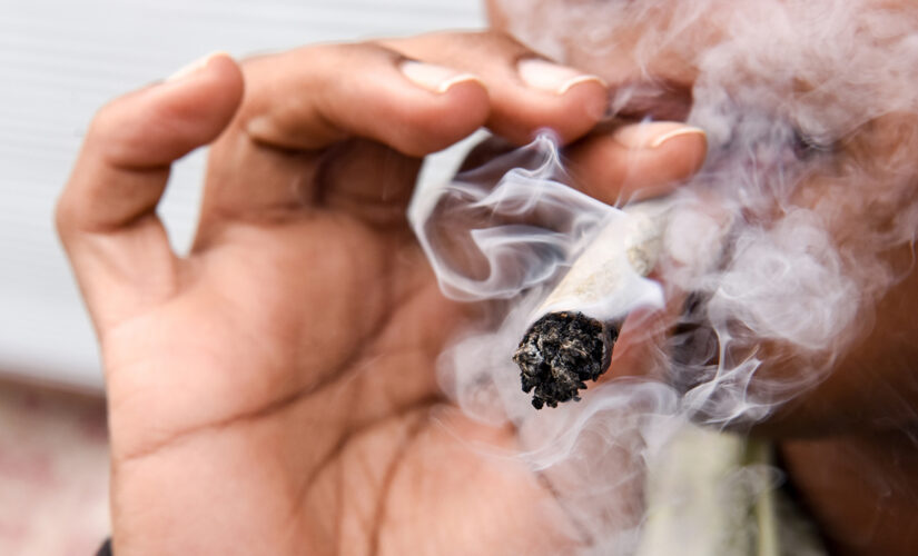 Smoking marijuana could lead to breakthrough COVID cases, study finds