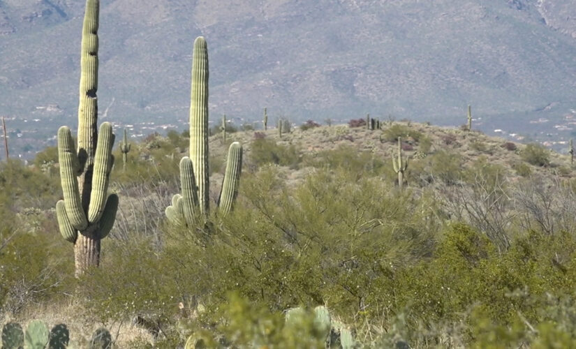 Arizona’s migrant flood captured on hidden trail cameras