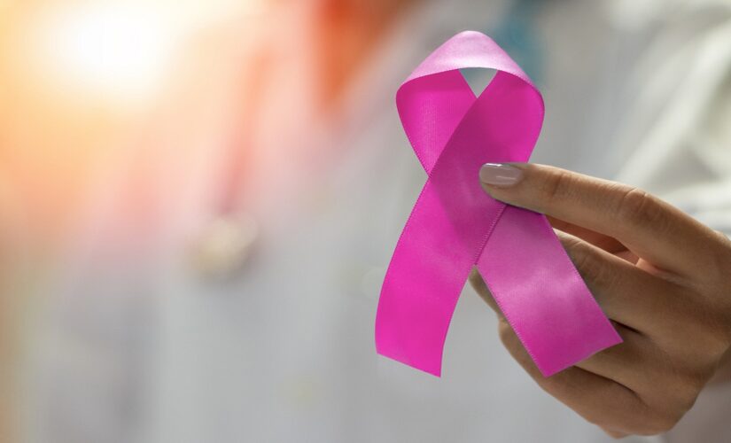 Breast cancer risk: What is the PALB2 gene mutation? Expert weighs in