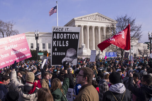 Pepperdine University students vandalize pro-life display, rip down crosses: Video