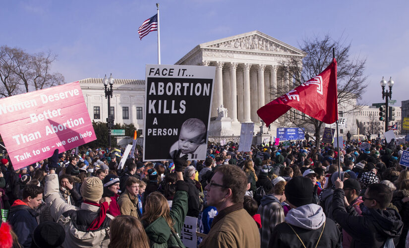 Pepperdine University students vandalize pro-life display, rip down crosses: Video