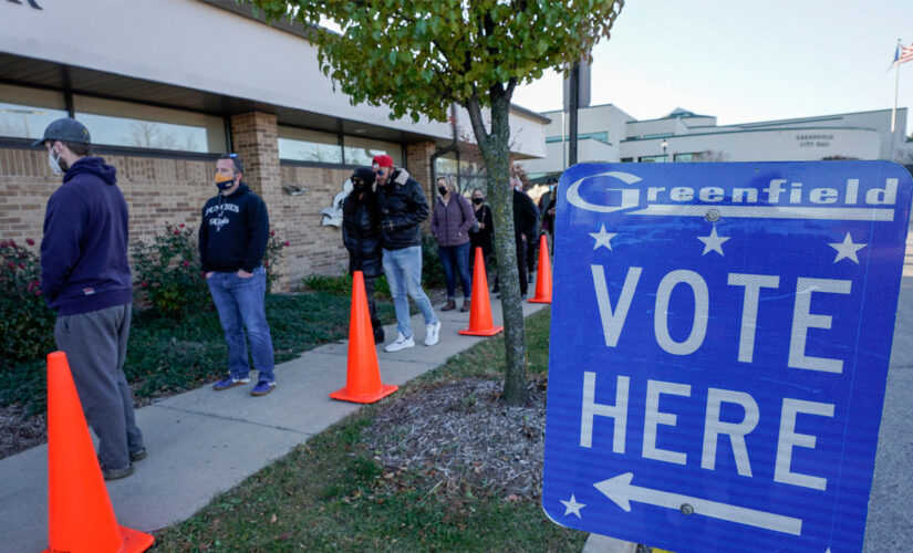 Two Georgia workers fired after being accused of shredding voting applications