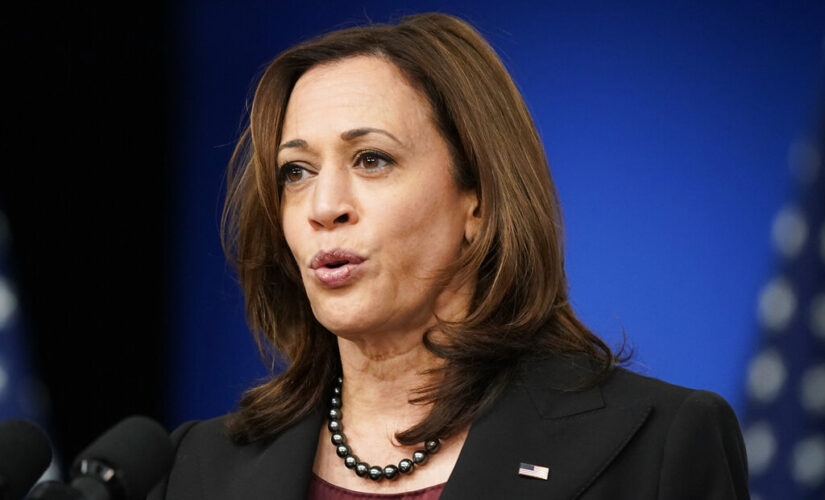 Kamala Harris reportedly spent over $500 on cookware in Parisian shop amid US economic uncertainty