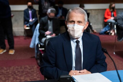 Fauci spotted maskless indoors at DC book party: report