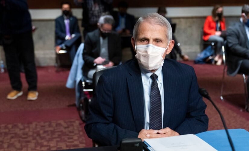 Fauci spotted maskless indoors at DC book party: report