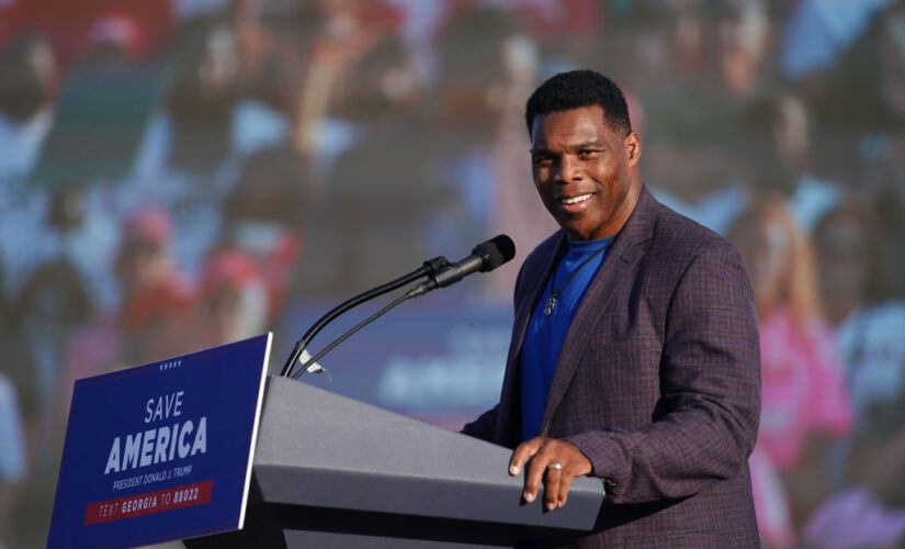Pro-Herschel Walker PAC to attack Warnock, give GOP candidate &apos;air support&apos; as he runs sunny campaign