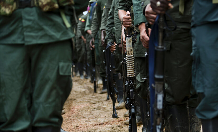 Republicans question lifting Colombian rebel group FARC&apos;s terrorism designation